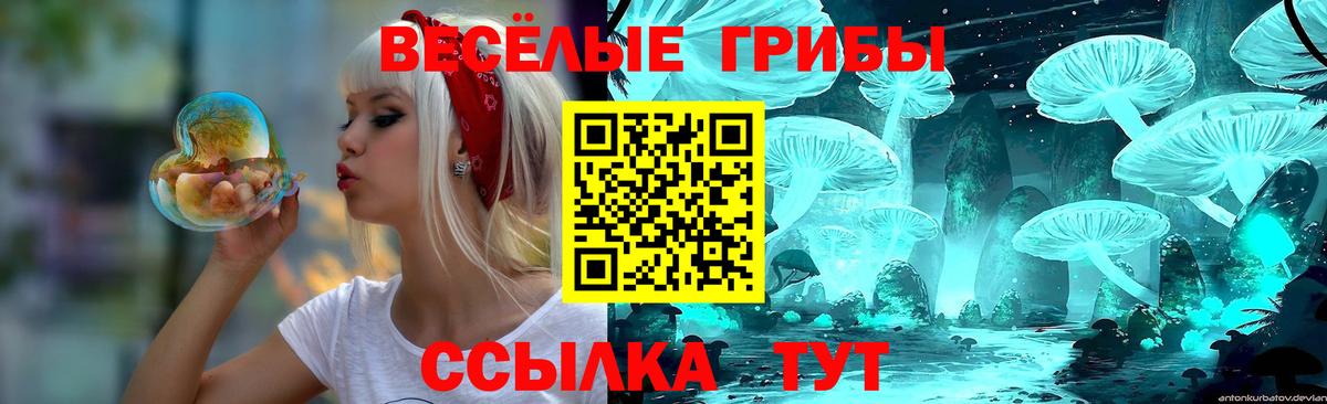 Псилоцибиновые грибы MAGIC MUSHROOMS Кизляр