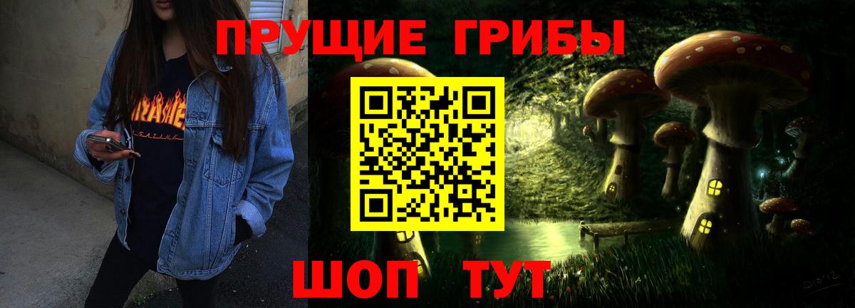 Псилоцибиновые грибы Magic Shrooms  где можно купить наркотик  Кизляр  Галлюциногенные грибы прущие грибы  Вход с VPN 